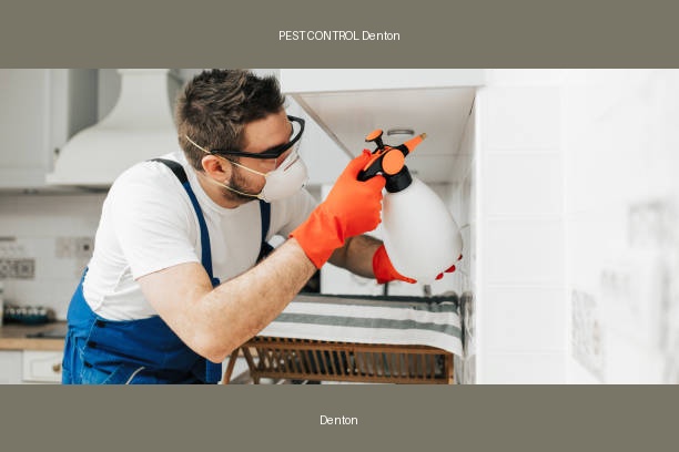 PEST CONTROL Denton
